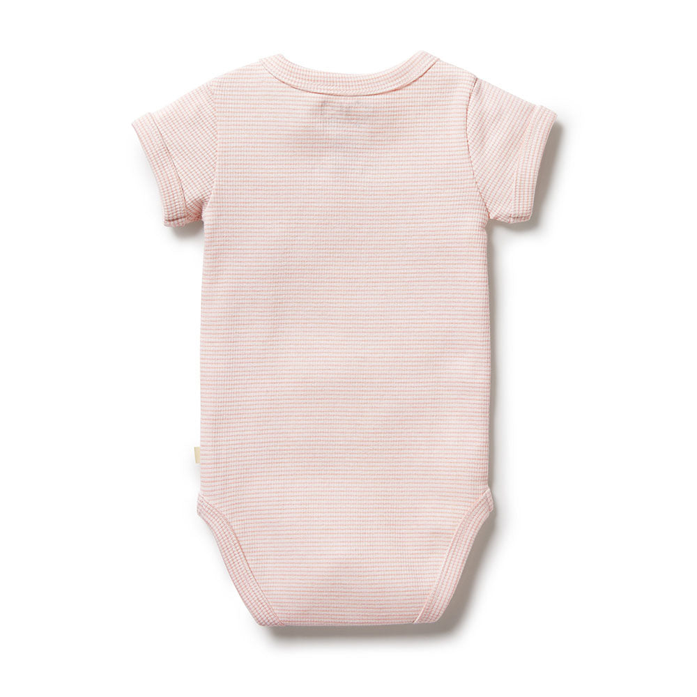 Cantaloupe Wilson & Frenchy Bodysuit